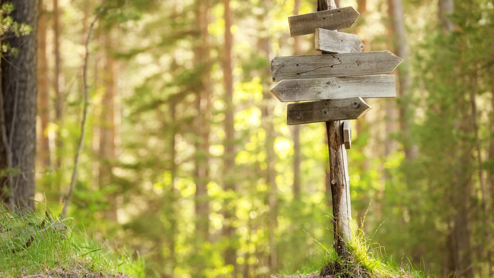 Brandenburg Climate Guide offers an overview of research relevant to climate protection