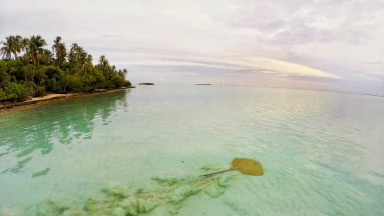 Meemu Atoll Malediven Ozean